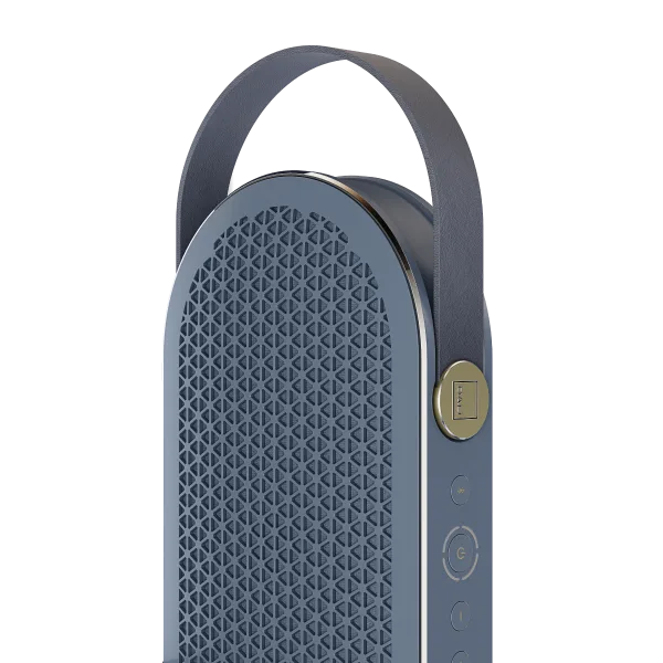 DALI Katch G2 Bluetooth Speaker