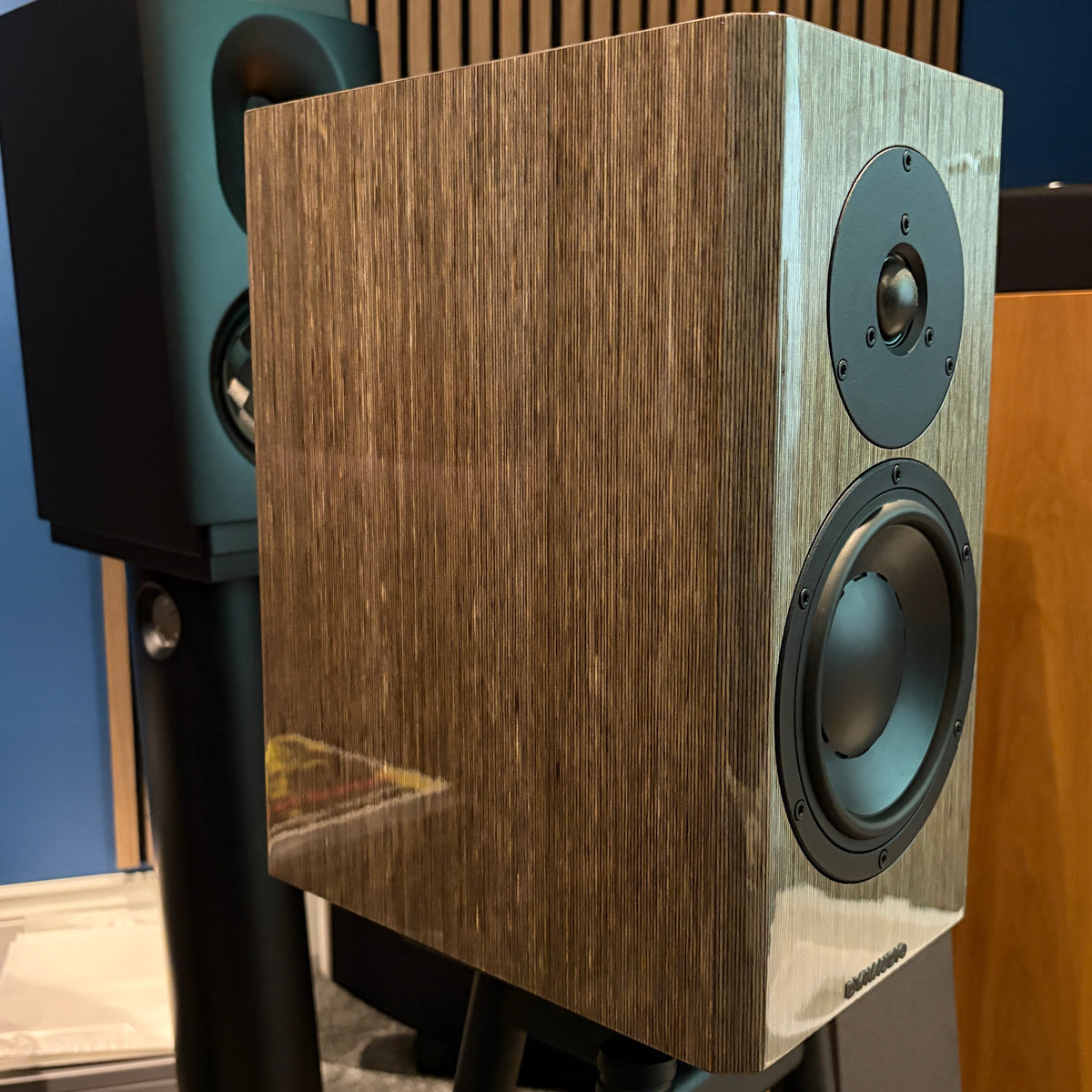 Dynaudio Special 40 - Anniversary Bookshelf Speakers - High Gloss Grey Birch