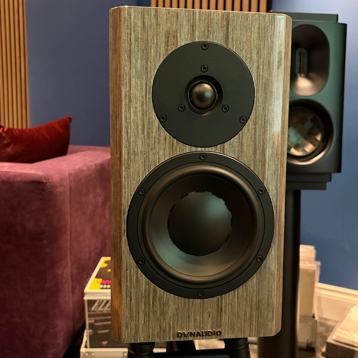 Dynaudio Special 40 - Anniversary Bookshelf Speakers - High Gloss Grey Birch