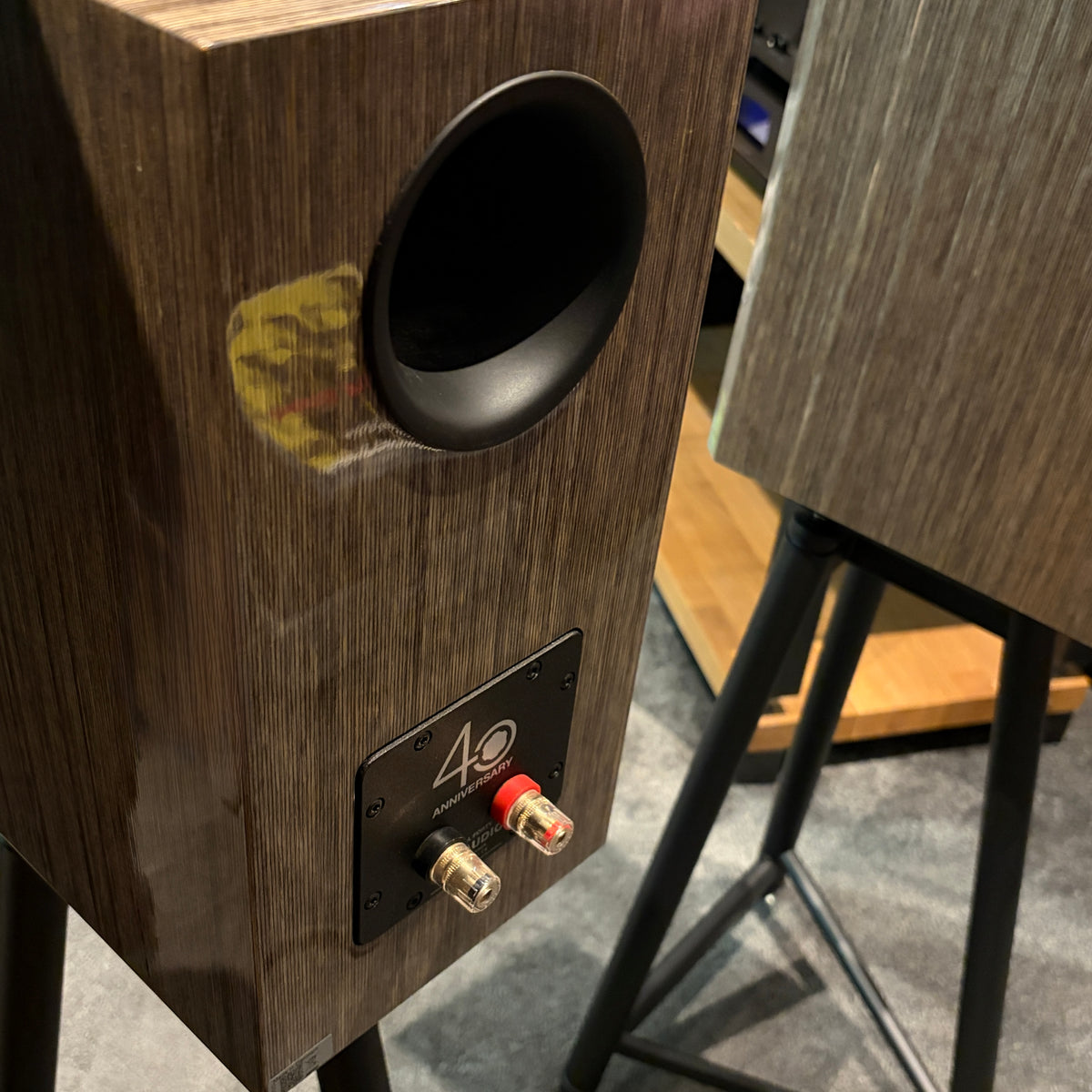 Dynaudio Special 40 - Anniversary Bookshelf Speakers - High Gloss Grey Birch