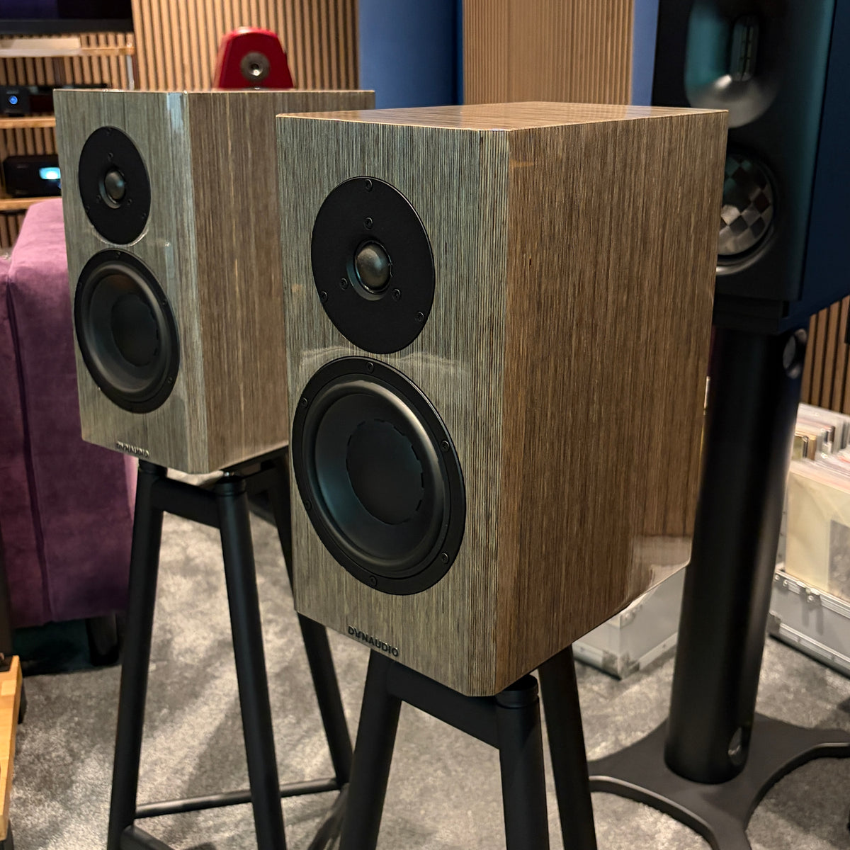 Dynaudio Special 40 - Anniversary Bookshelf Speakers - High Gloss Grey Birch