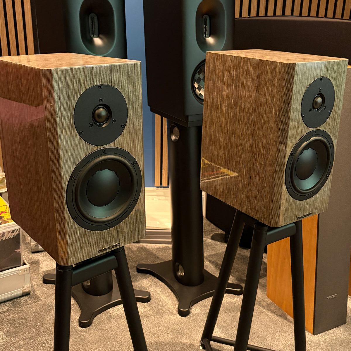 Dynaudio Special 40 - Anniversary Bookshelf Speakers - High Gloss Grey Birch