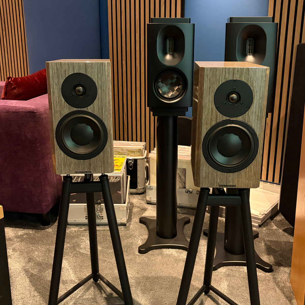 Dynaudio Special 40 - Anniversary Bookshelf Speakers - High Gloss Grey Birch
