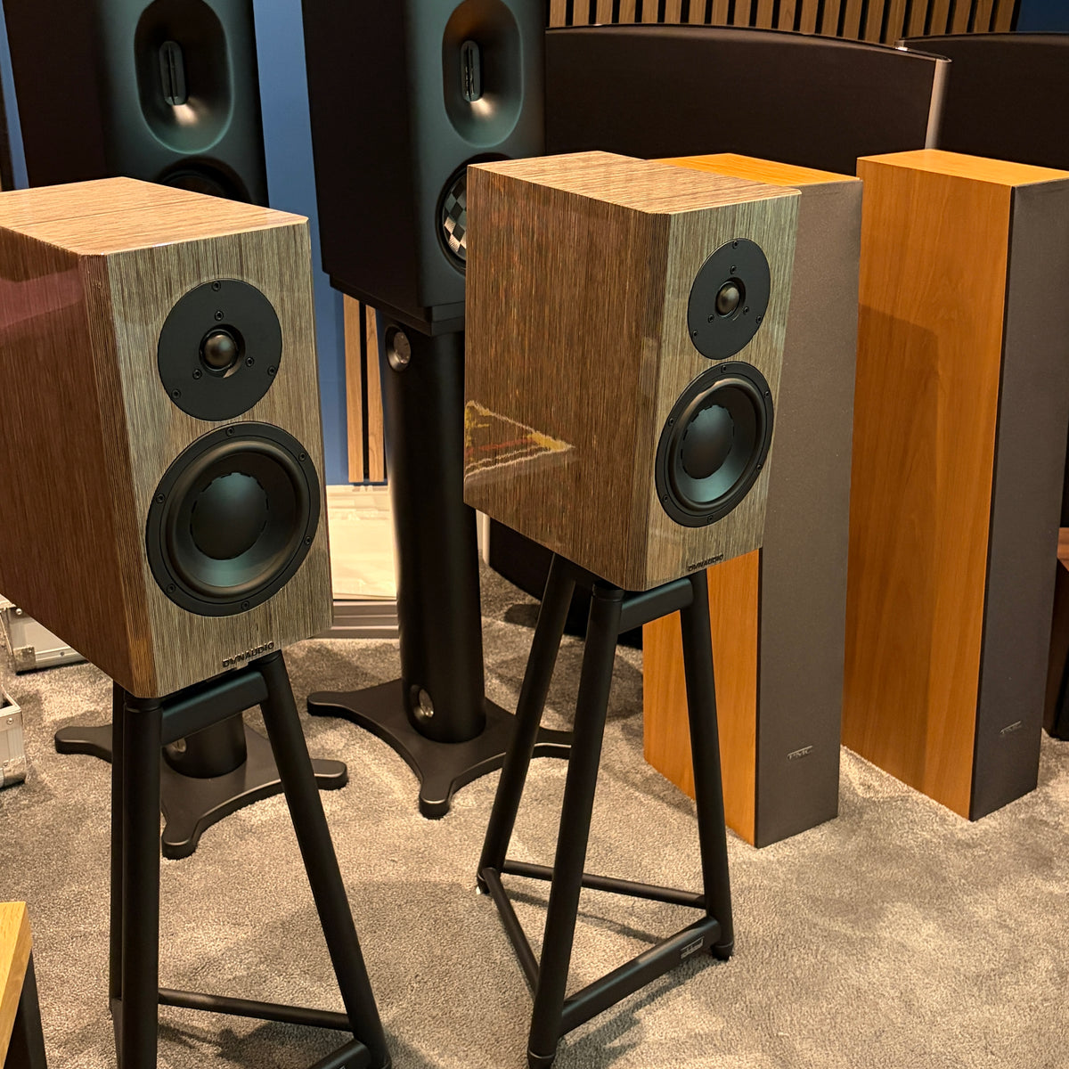 Dynaudio Special 40 - Anniversary Bookshelf Speakers - High Gloss Grey Birch