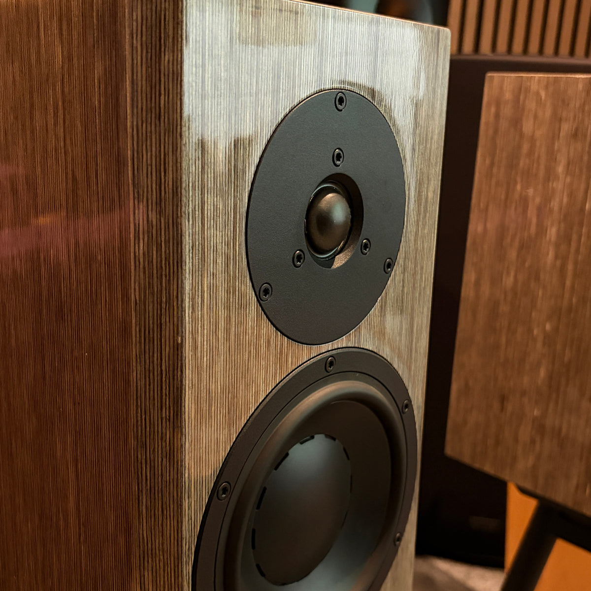 Dynaudio Special 40 - Anniversary Bookshelf Speakers - High Gloss Grey Birch