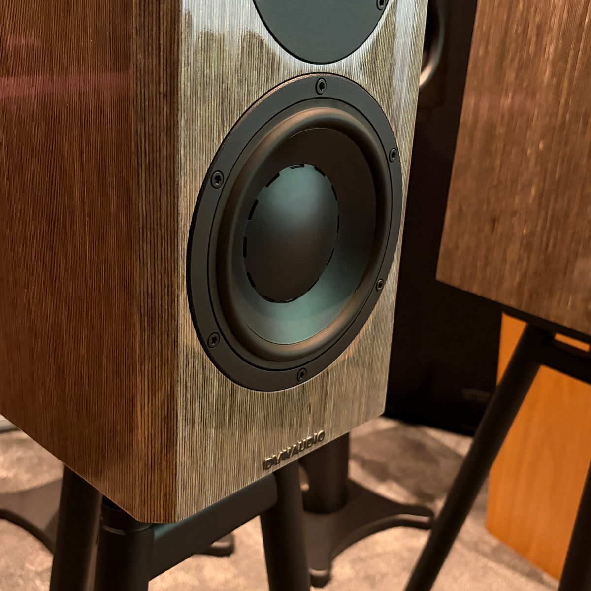 Dynaudio Special 40 - Anniversary Bookshelf Speakers - High Gloss Grey Birch