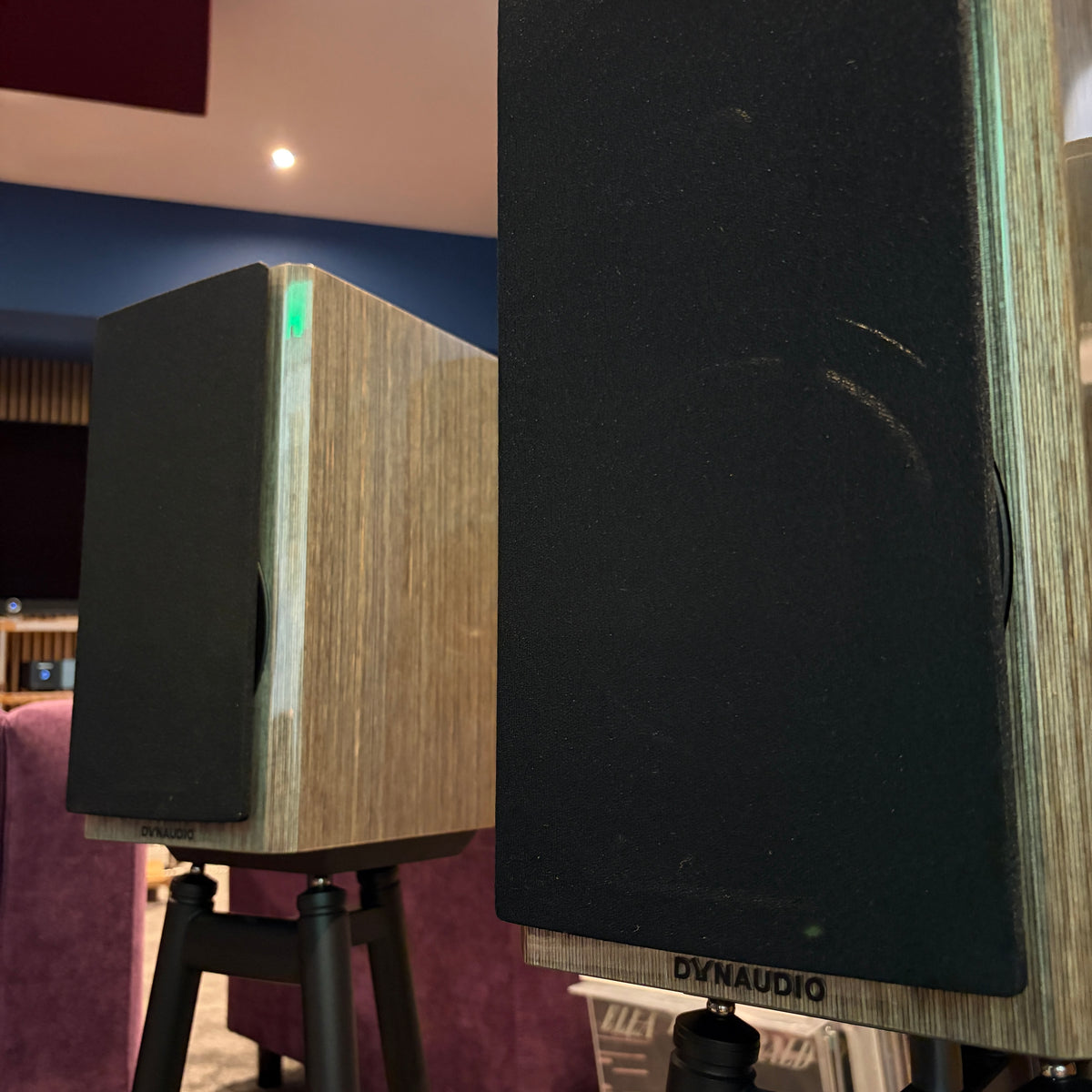 Dynaudio Special 40 - Anniversary Bookshelf Speakers - High Gloss Grey Birch