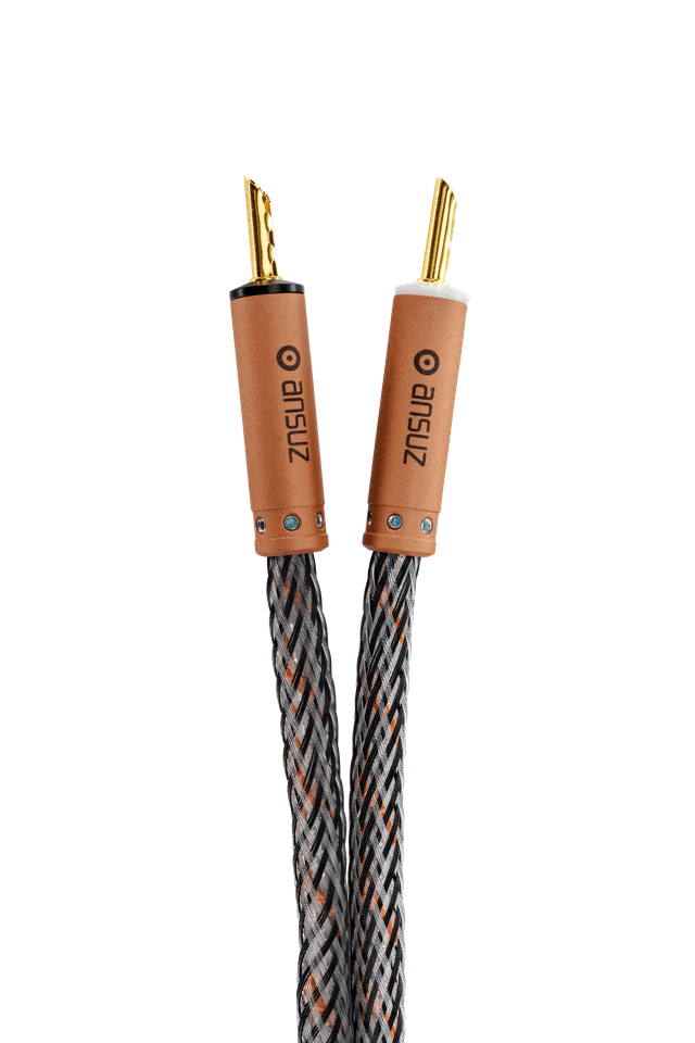 Ansuz D3 Speakz Speaker Cables