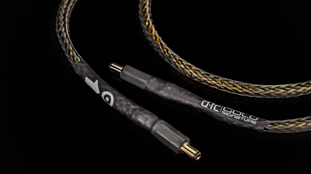 Ansuz DC Linkz D-TC Gold Signature