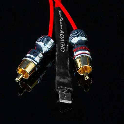 Black Rhodium ADAGIO USB-C to RCA Stereo Interconnect