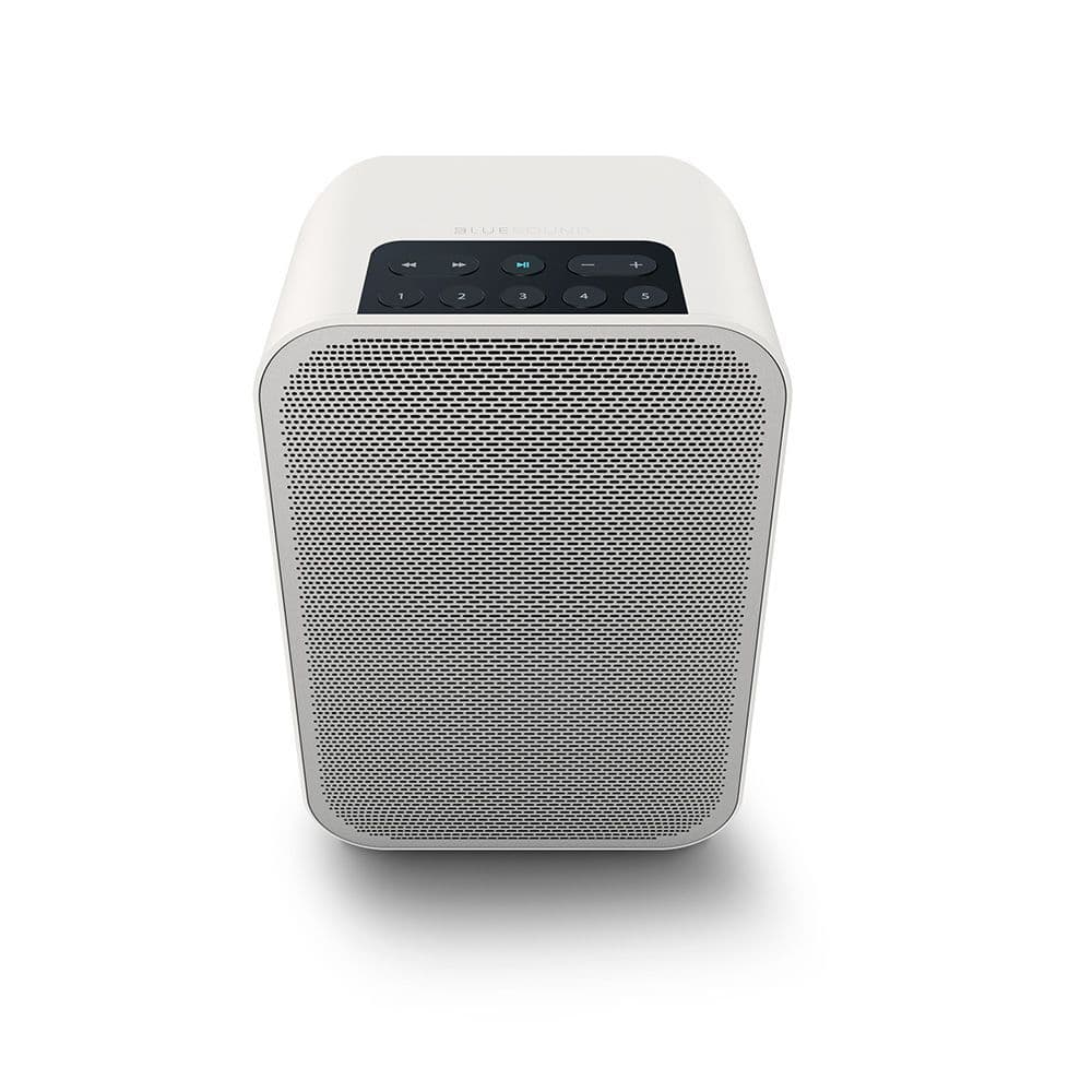 Bluesound PULSE FLEX 2i Portable Streaming Music Player