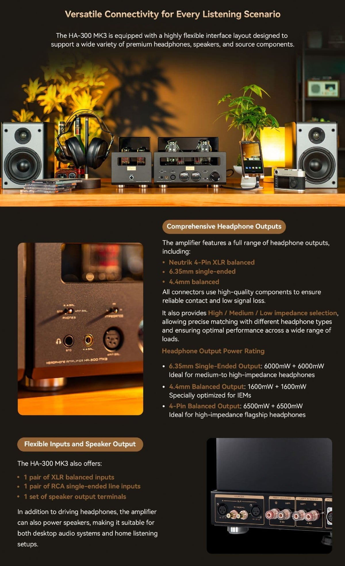 Cayin HA-300 MK3 - Type UK