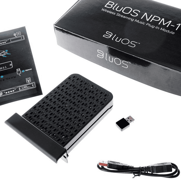 DALI BluOS NPM-1