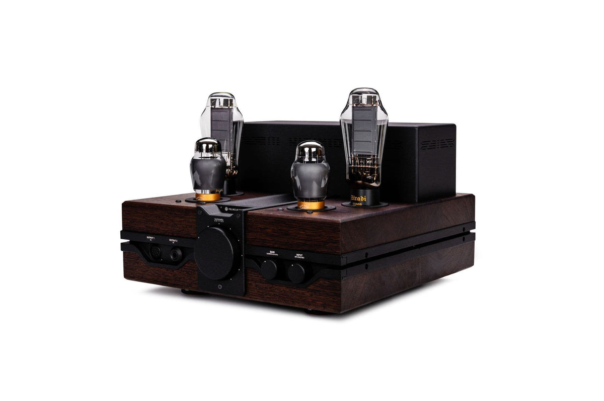 Feliks Audio Envy Susvara Edition Headphone Amplifier with Susvara OG Headphones
