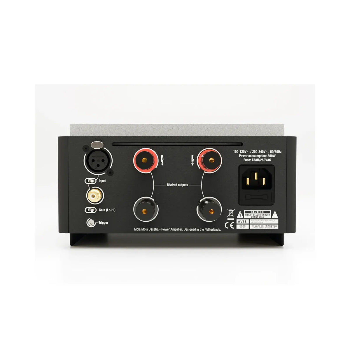 Mola Mola Ossetra Monoblock Power Amplifier