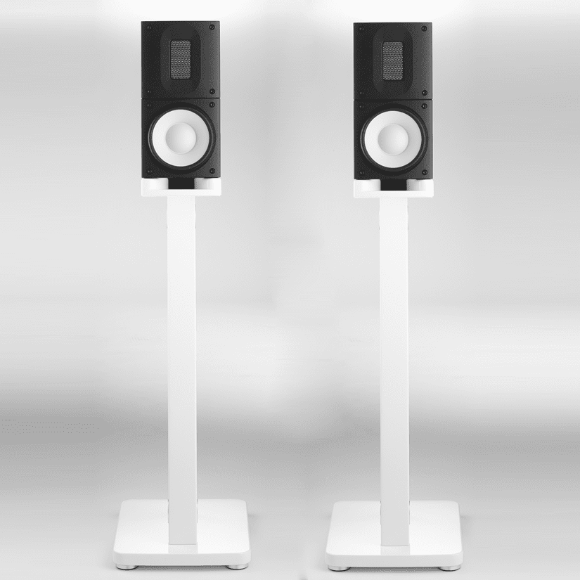 Raidho Acoustics X1 / X1T Loudspeaker