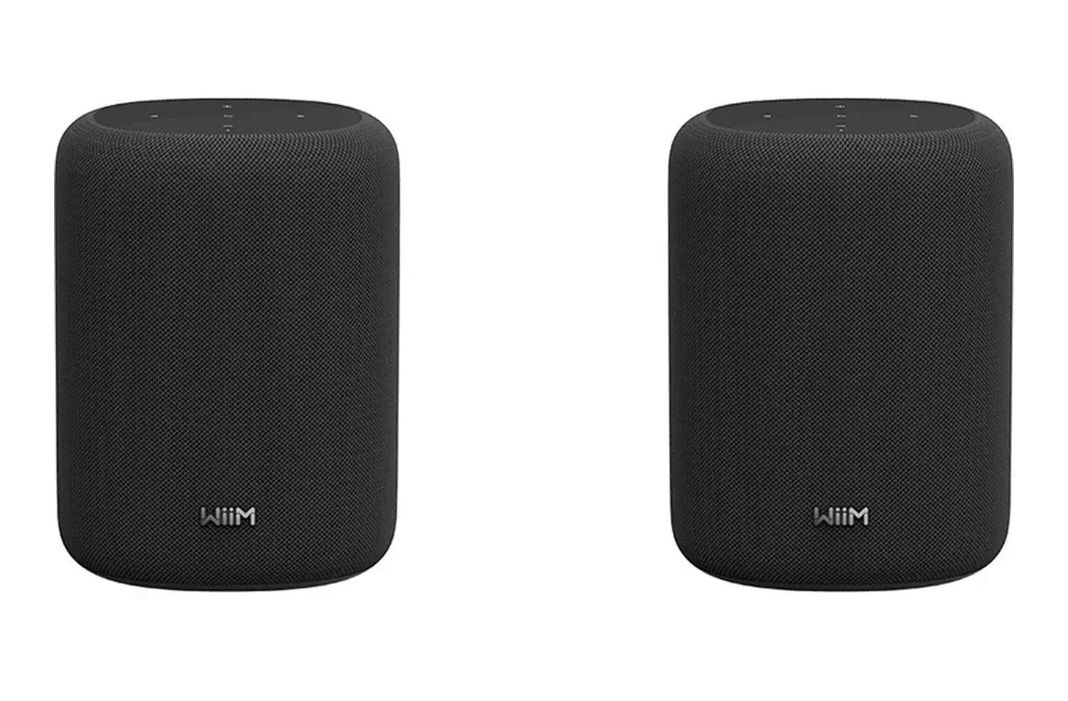 WiiM Sound Lite Smart Speaker Twin Pack