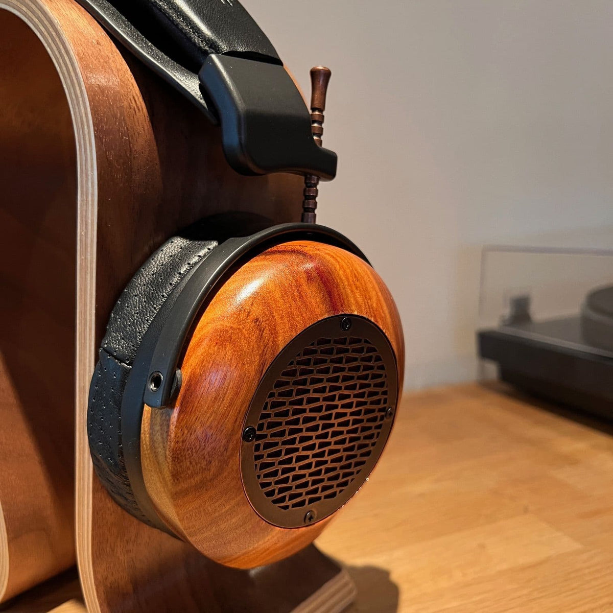 ZMF Aeolus Ltd - Canary Wood Open Back Headphones