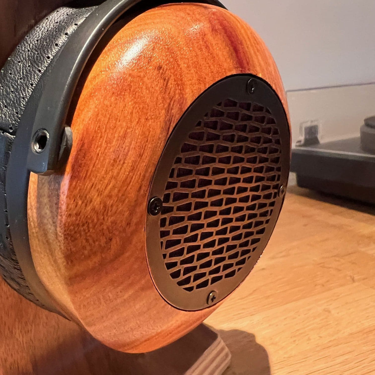 ZMF Aeolus Ltd - Canary Wood Open Back Headphones
